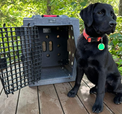 PRE ORDER – Ruff Land “Divide & Conquer” Kennel Divider